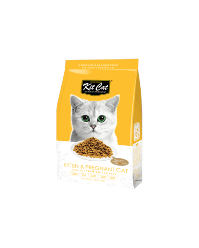 Cat food for kitten